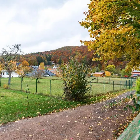 Modern Holiday In Mosbach With Garden Ferienhaus