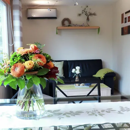Modern Holiday In Mosbach With Garden Ferienhaus *